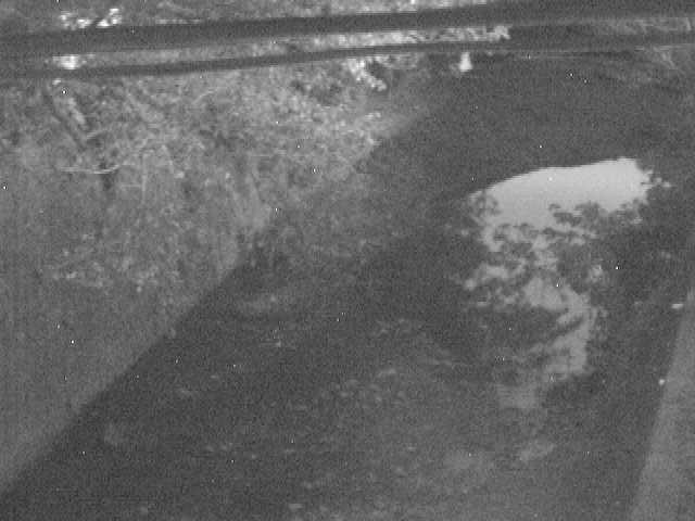 下小路橋付近のカメラ画像