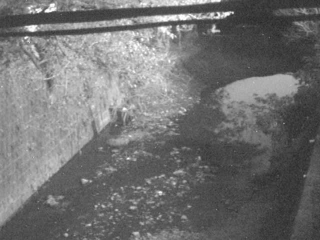 下小路橋付近のカメラ画像