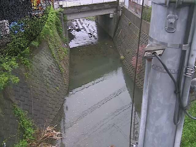 竹川 大橋付近のカメラ画像