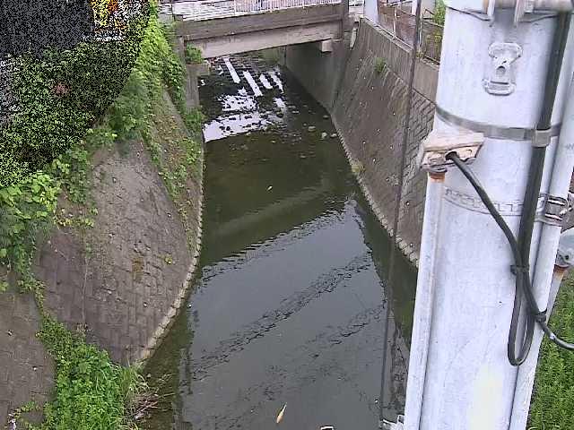大橋付近のカメラ画像