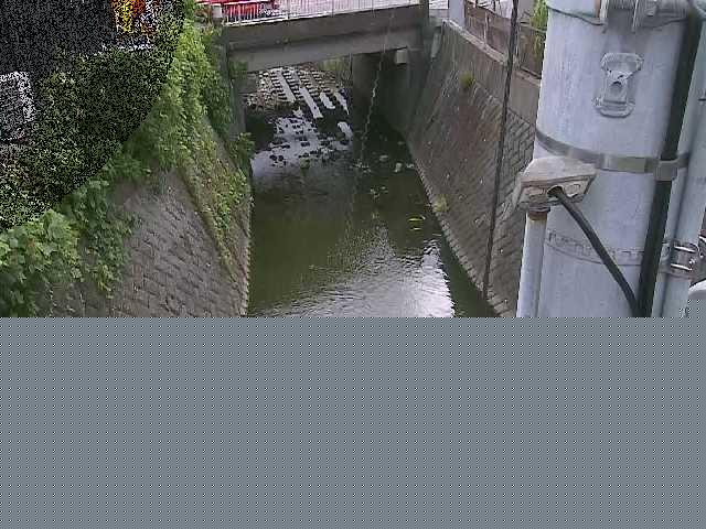 竹川 大橋付近のカメラ画像
