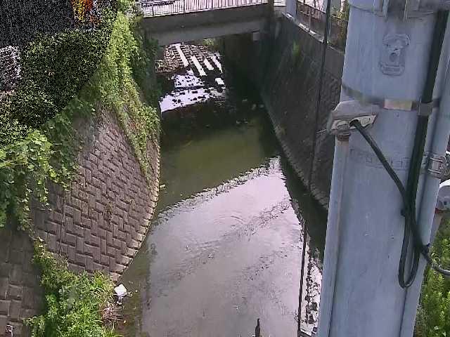 竹川 大橋付近のカメラ画像