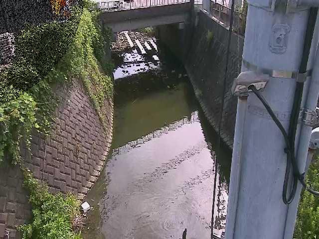 大橋付近のカメラ画像