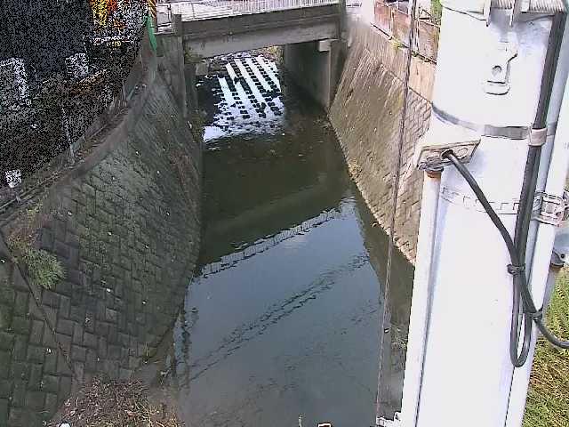 大橋付近のカメラ画像