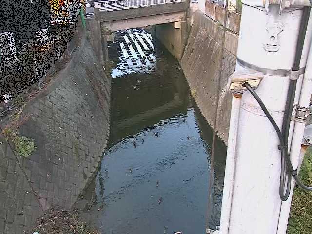 大橋付近のカメラ画像