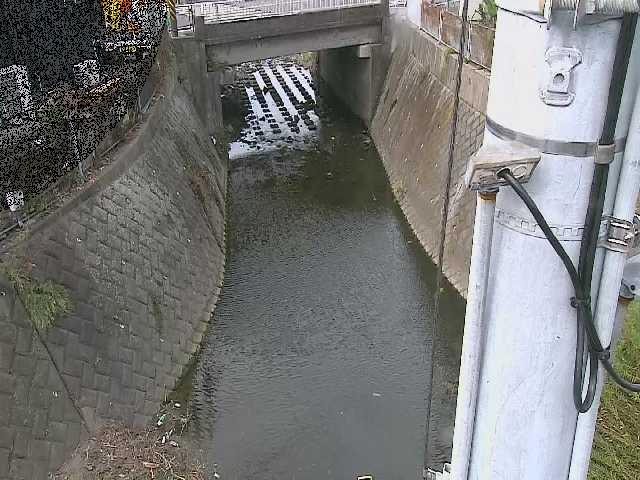 大橋付近のカメラ画像
