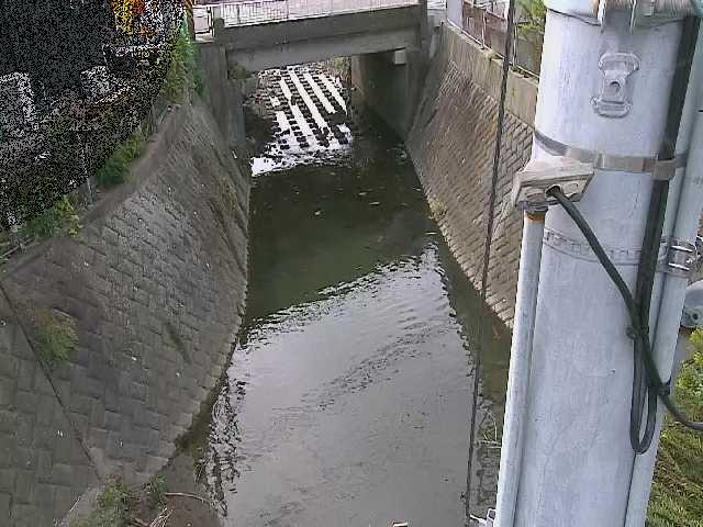 大橋付近のカメラ画像