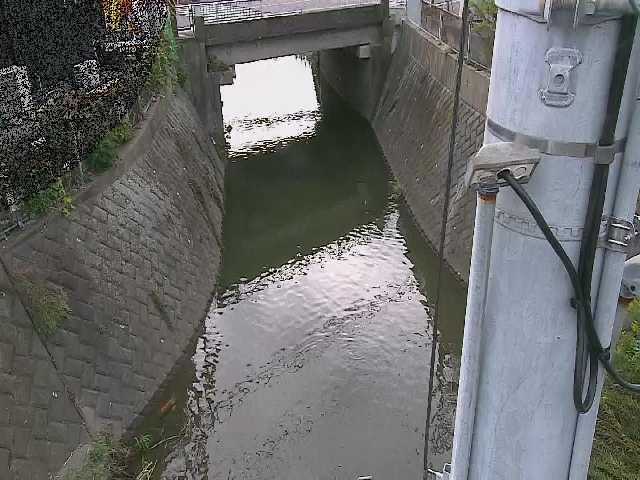 大橋付近のカメラ画像