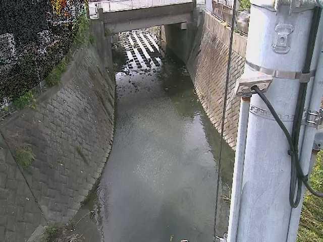 大橋付近のカメラ画像