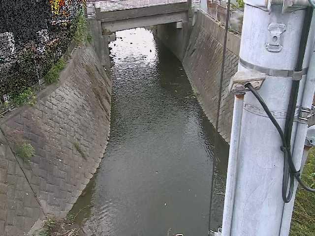 大橋付近のカメラ画像