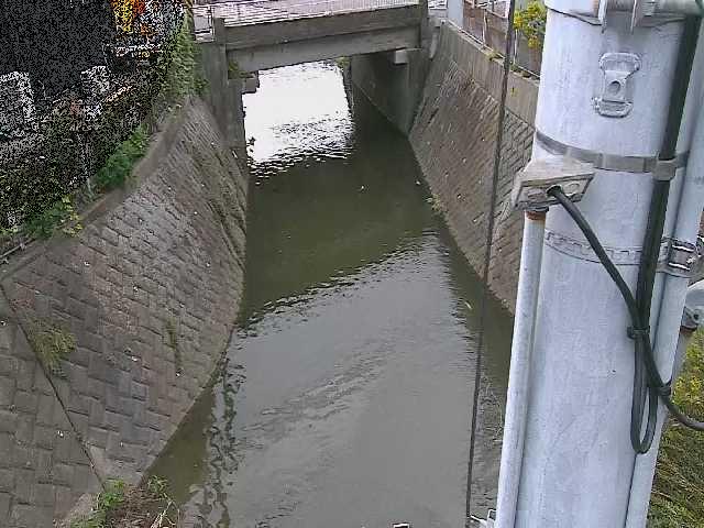 大橋付近のカメラ画像