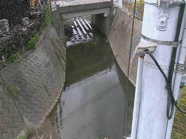 大橋付近のカメラ画像