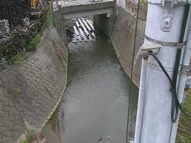 竹川 大橋付近のカメラ画像