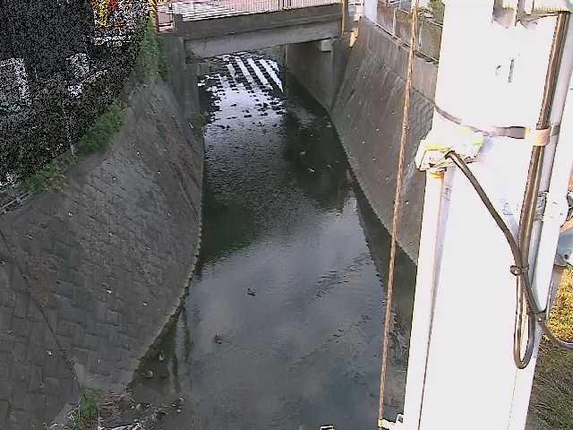 大橋付近のカメラ画像