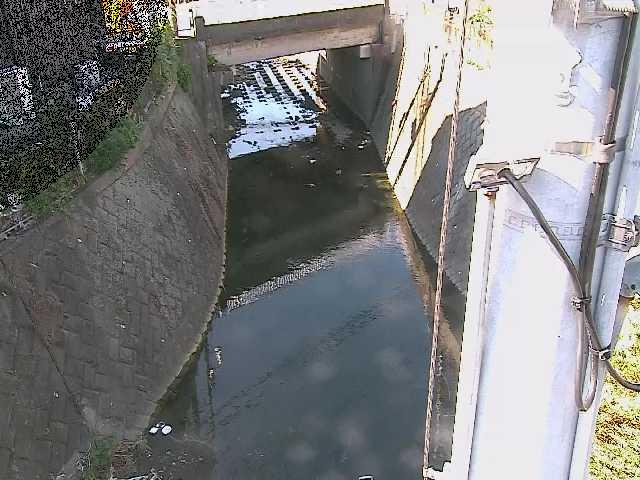 大橋付近のカメラ画像