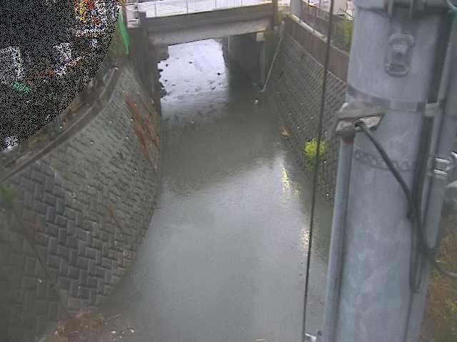 大橋付近のカメラ画像