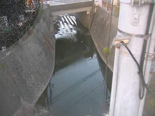 竹川 大橋付近のカメラ画像