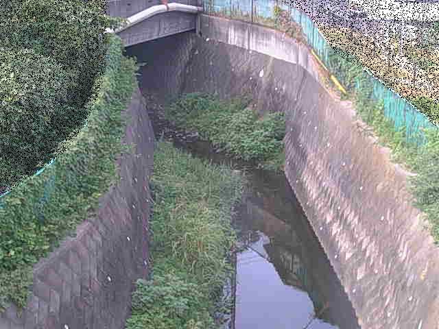 新佐島橋付近のカメラ画像