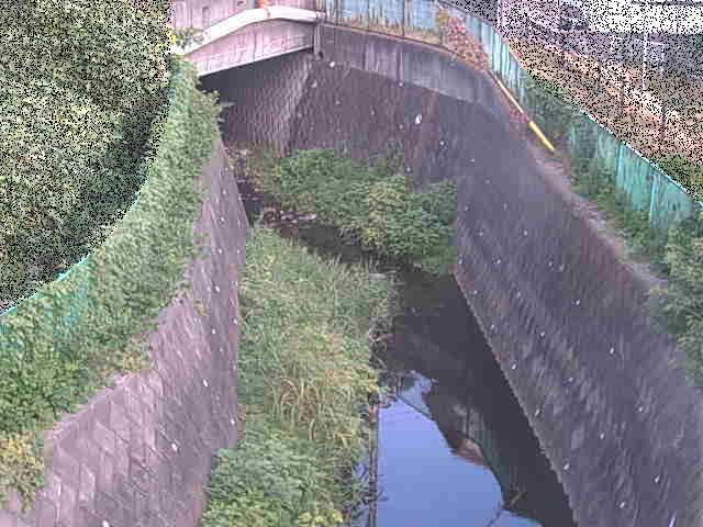 新佐島橋付近のカメラ画像