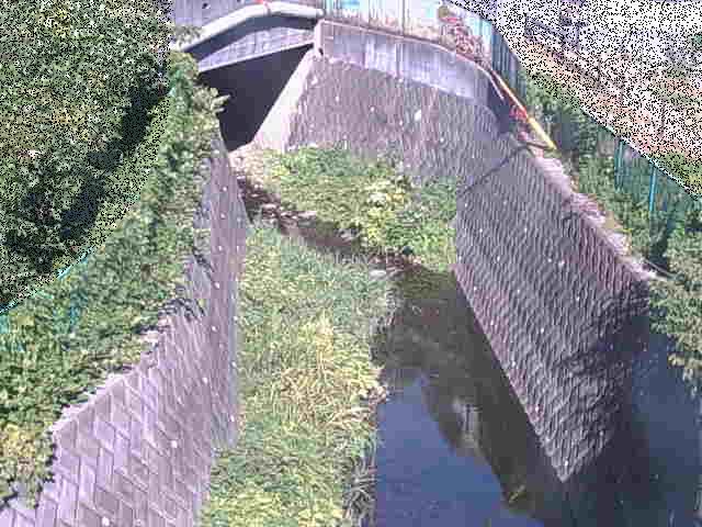 新佐島橋付近のカメラ画像