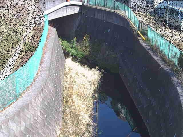 新佐島橋付近のカメラ画像