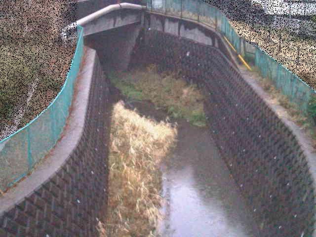 新佐島橋付近のカメラ画像