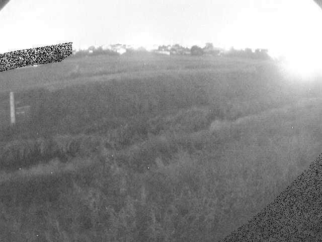 歌川 源氏橋付近のカメラ画像