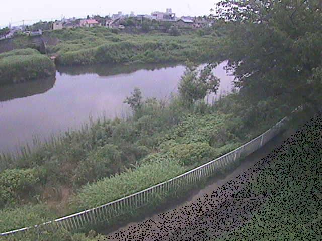 金目川 高麗大橋付近のカメラ画像