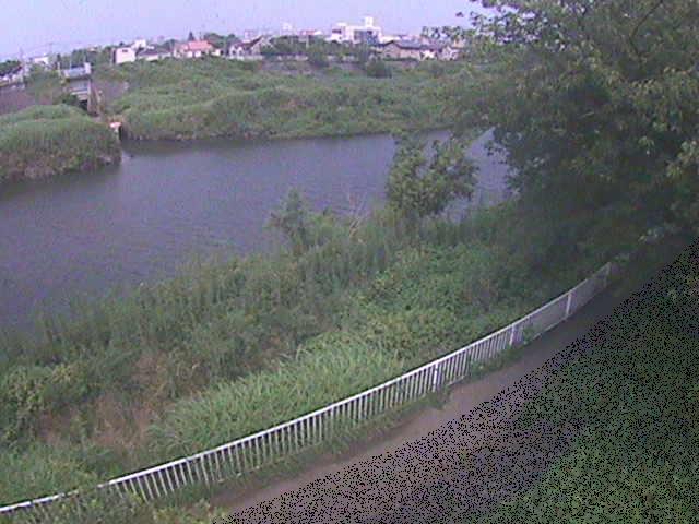 金目川 高麗大橋付近のカメラ画像
