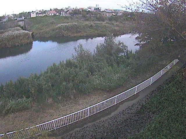 高麗大橋付近のカメラ画像