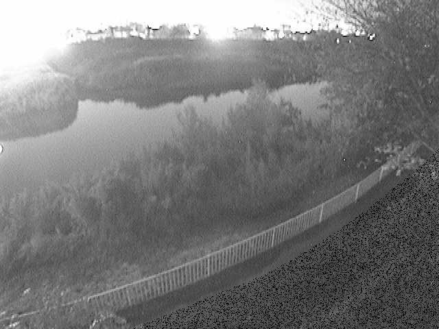 高麗大橋付近のカメラ画像