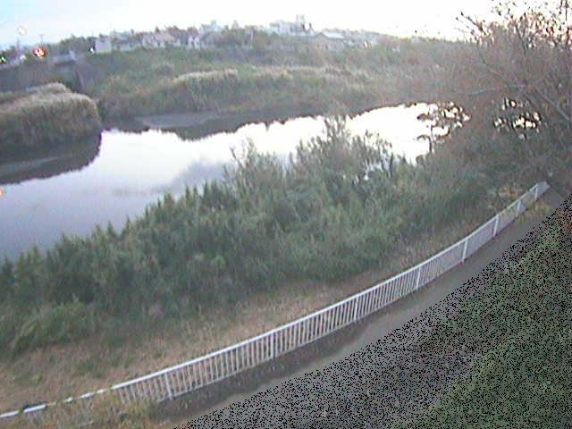 高麗大橋付近のカメラ画像