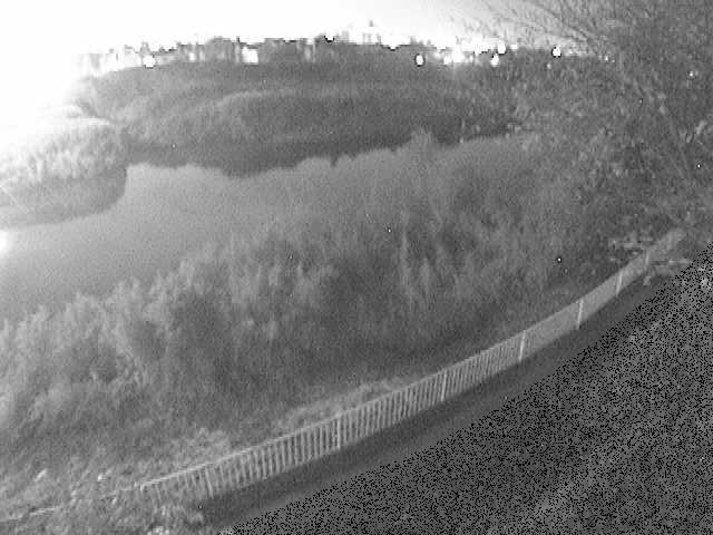 金目川 高麗大橋付近のカメラ画像