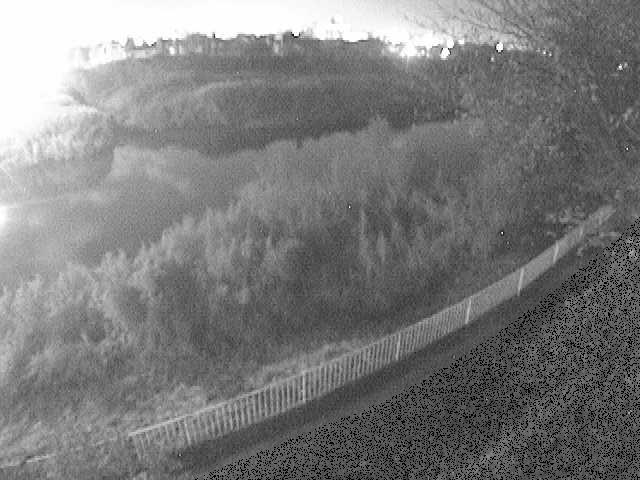 金目川 高麗大橋付近のカメラ画像