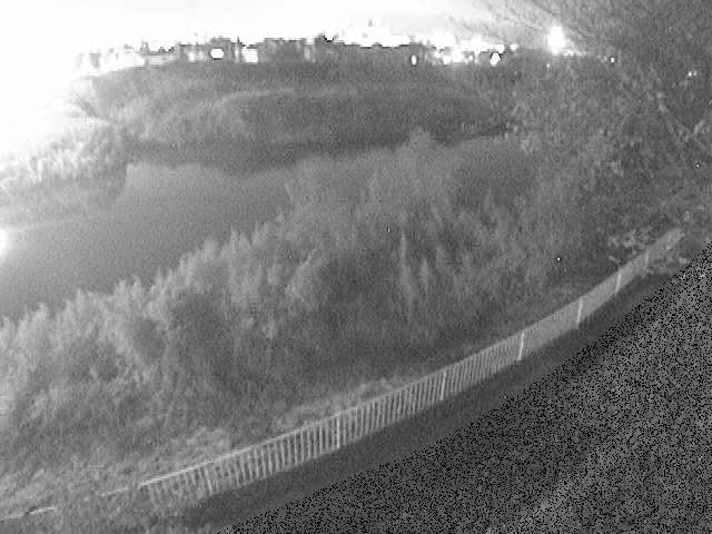 高麗大橋付近のカメラ画像