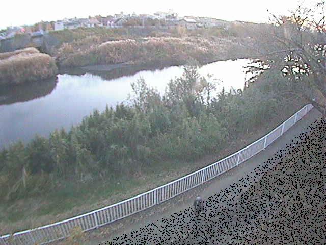 高麗大橋付近のカメラ画像