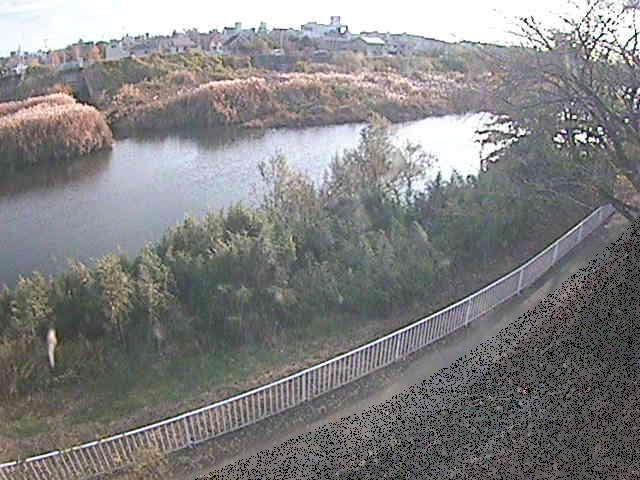 高麗大橋付近のカメラ画像