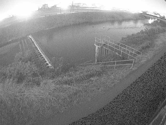 舟橋付近のカメラ画像