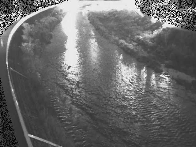 金目川 観音橋付近のカメラ画像