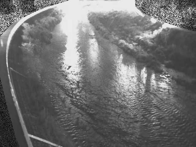 金目川 観音橋付近のカメラ画像