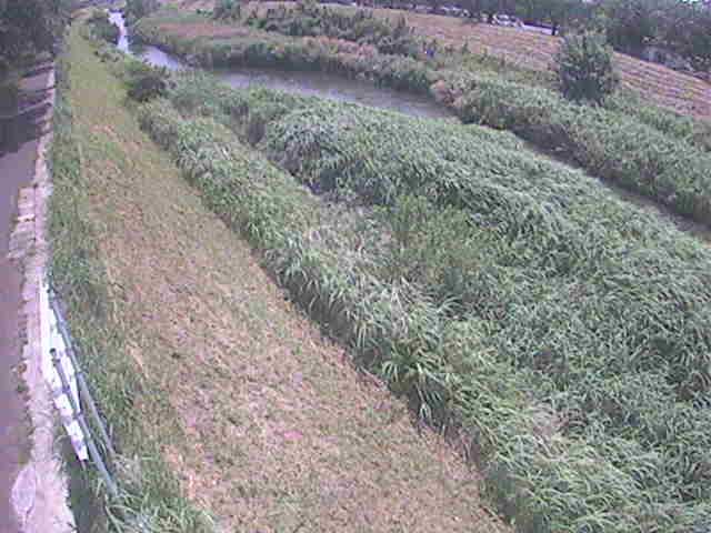 美里橋付近のカメラ画像