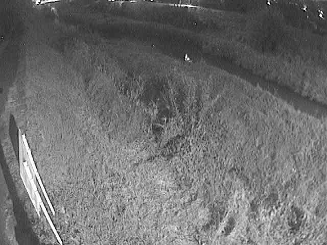 美里橋付近のカメラ画像