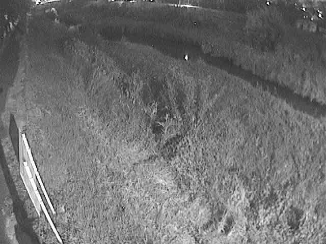 美里橋付近のカメラ画像