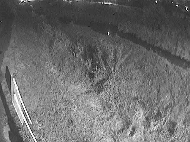 渋田川 美里橋付近のカメラ画像