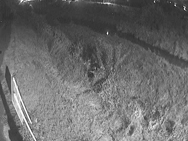 渋田川 美里橋付近のカメラ画像