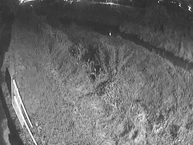 美里橋付近のカメラ画像