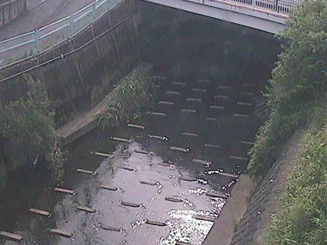 塩海橋付近のカメラ画像