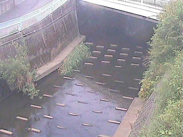塩海橋付近のカメラ画像