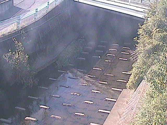 葛川 塩海橋付近のカメラ画像