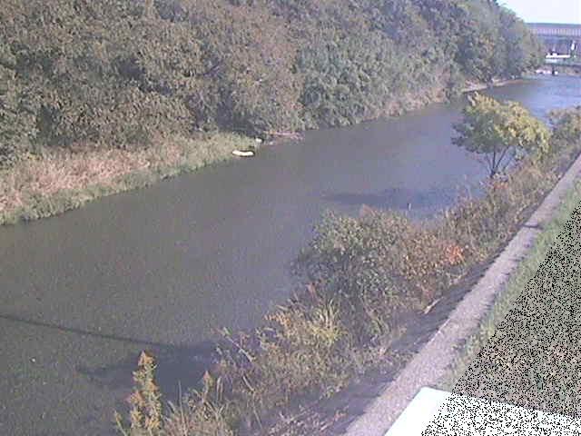 金目川 中里橋付近のカメラ画像